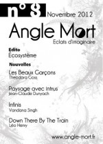 Revue Angle Mort N°8 (Novembre 2012) (French Edition) - Laurent Queyssi ; SÃ©bastien Cevey ;, Léo Henry, Vandana Singh, Jean-Claude Dunyach, Theodora Goss, Gilles Goullet, Florence Dolisi