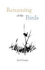 Renaming of the Birds - David Troupes