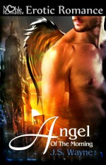 Angel Of The Morning (Angels Would Fall #2) - J.S. Wayne