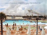 Joel Sternfeld: American Prospects - Joel Sternfeld, Katy Siegel