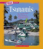 Tsunamis - Chana Stiefel