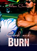 Crash and Burn - Chelsea Camaron