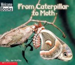 From Caterpillar To Moth - Jan Kottke