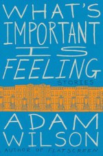 What's Important Is Feeling: Stories - Adam Wilson