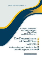 The Determinants of Small Firm Growth: An Inter-Regional Study in the United Kingdom 1986-90 (Regions and Cities) - Richard Barkham, Graham Gudgin, Mark Hart, Eric Hanvey