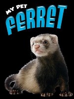 Ferret - Lynn Hamilton