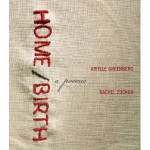 Home/Birth: A Poemic - Arielle Greenberg, Rachel Zucker