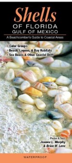 Shells of Florida - Gulf of Mexico: A Beachcomber's Guide to Common and Notable Species - Murphy, Jeanne L., Lane, Brian W.