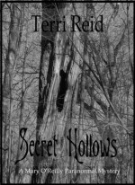 Secret Hollows - Terri Reid