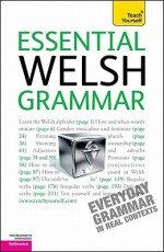 Essential Welsh Grammar: A Teach Yourself Guide (TY: Language Guides) - Christine Jones