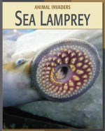 Sea Lamprey - Barbara A. Somervill