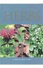 A Pocket Guide to Herbs - Jenny Linford