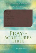 Pray the Scriptures Bible - Kevin Johnson