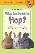 Why Do Rabbits Hop? - Joan Holub, Anna DiVito