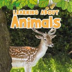 Learning about Animals - Catherine Veitch