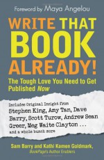 Write That Book Already!: The Tough Love You Need to Get Published Now - Sam Barry, Kathi Kamen Goldmark