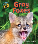 Gray Foxes - Jane P Gardner