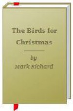 The Birds for Christmas - Mark Richard