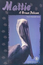 Mattie: A Brown Pelican - Bonnie Highsmith Taylor