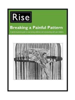 Breaking a Painful Pattern: A Parent-To-Parent Guide to Overcoming Addiction and Reconnecting with Your Children. - Nora McCarthy, Rachel Blustain