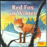 Red Fox in Winter - Janet Craig