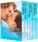 Unsuitably Perfect (Box Set) - Barbara McMahon, Lisa Mondello, Karen Sandler