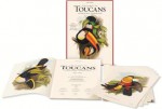 John Gould: Family of Toucans - Jonathan Elphick