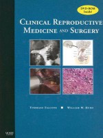 Clinical Reproductive Medicine and Surgery [With DVD-ROM] - Tommaso Falcone