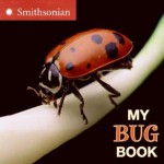 My Bug Book - Melissa Stewart