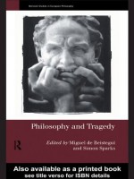 Philosophy and Tragedy (Warwick Studies in European Philosophy) - Simon Sparks, Miguel De Beistegui