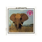 Elephants - Louise Martin