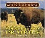 Regional Wild America: Unique Animals of the Mtns & Prairies - Tanya Lee Stone