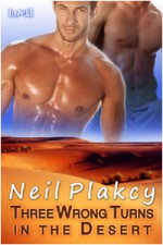 Three Wrong Turns in the Desert - Neil Plakcy