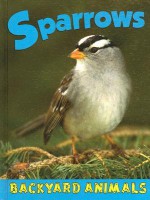 Sparrows - Christine Webster