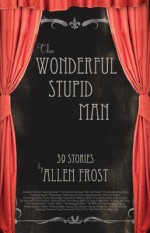 The Wonderful Stupid Man: Stories - Allen Frost