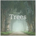 The Life and Love of Trees - Lewis Blackwell