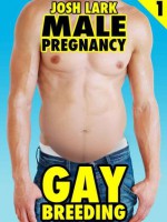 Gay Breeding, An Mpreg Anal Sex Story (Male Pregnancy) - Josh Lark