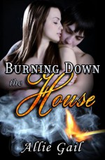 Burning Down the House - Allie Gail