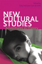 New Cultural Studies: Adventures in Theory - Gary Hall, Gary Hall