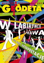 Geodeta. Magazyn geoinformacyjny, nr 9 (208) / 2012 - Redakcja Magazynu Geodeta, Andrzej Stateczny, Adam Wójcik, Alfons Jacko, Paweł Szmajda, Emil Żyszkowski, Rafał Kokoszka