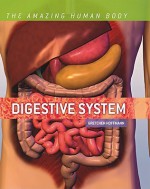 Digestive System - Gretchen Hoffman