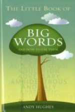 Little Book Of Big Words - Andy Hughes