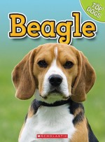 Beagle - Charles George, Linda George