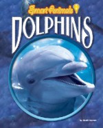 Dolphins - Scott Ingram