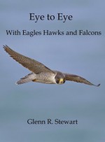 Eye to Eye With Eagles Hawks and Falcons - Glenn Stewart