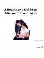 A Beginner's Guide to Microsoft Excel 2010 - Robert Manning