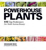 Powerhouse Plants: 510 Top Performers for Multi-Season Beauty - Graham Rice, Judy White