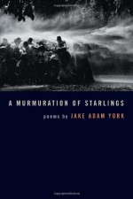 A Murmuration of Starlings - Jake Adam York