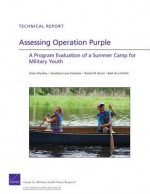 Assessing Operation Purple: A Program Evaluation of a Summer Camp for Military Youth - Anita Chandra, Sandraluz Lara-Cinisomo, Rachel M. Burns, Beth Ann Griffin