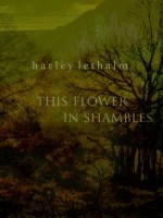 This Flower in Shambles - Harley Lethalm